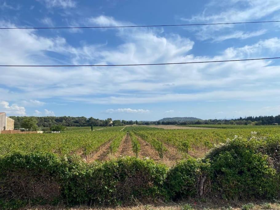 Une Parenthese Face Aux Vignes Sorgues Exterior foto